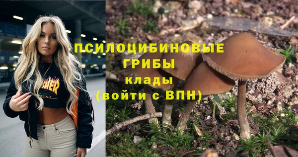 тгк Бронницы